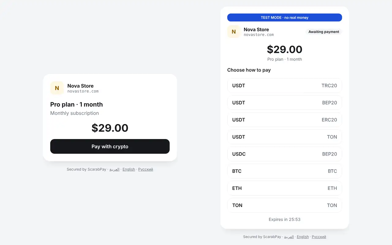 The payment link and the coin selection